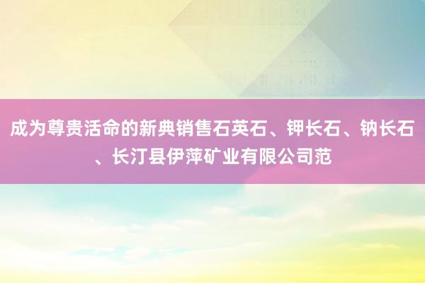 成为尊贵活命的新典销售石英石、钾长石、钠长石、长汀县伊萍矿业有限公司范